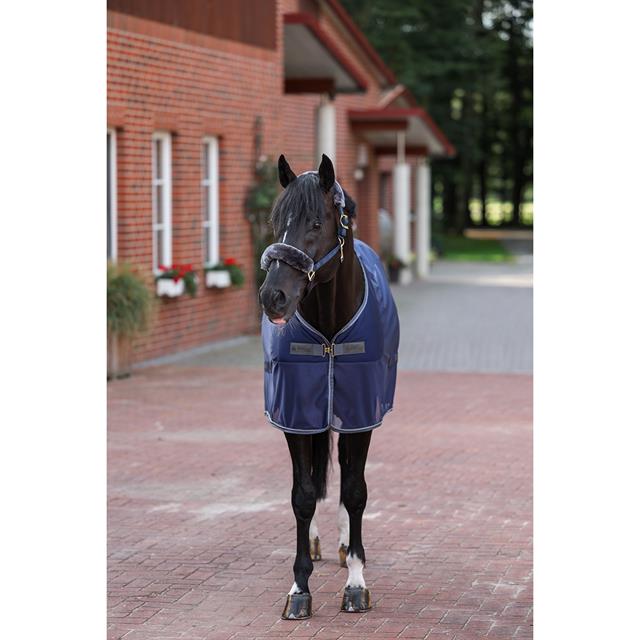 Cooler Bucas Show-Line Competition Donkerblauw-grijs