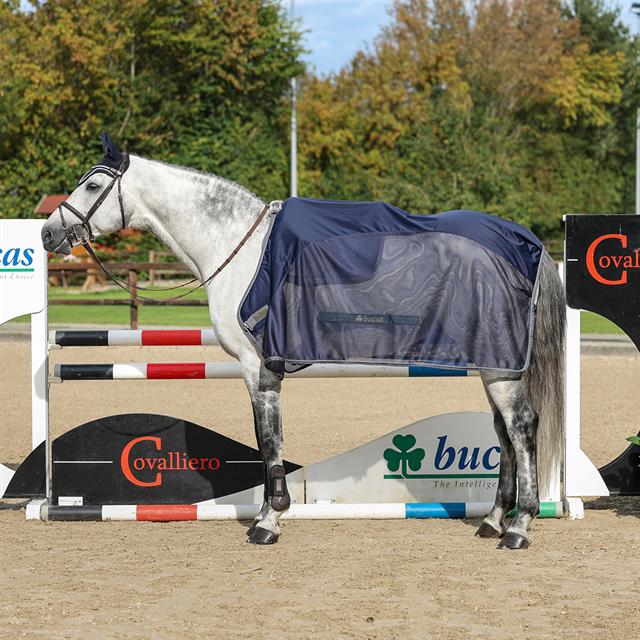 Cooler Bucas Show-Line Competition Donkerblauw-grijs