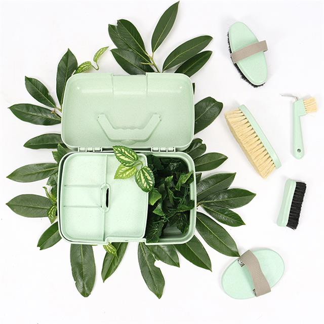 Dandy BRush Epplejeck EJEco Friendly Groen
