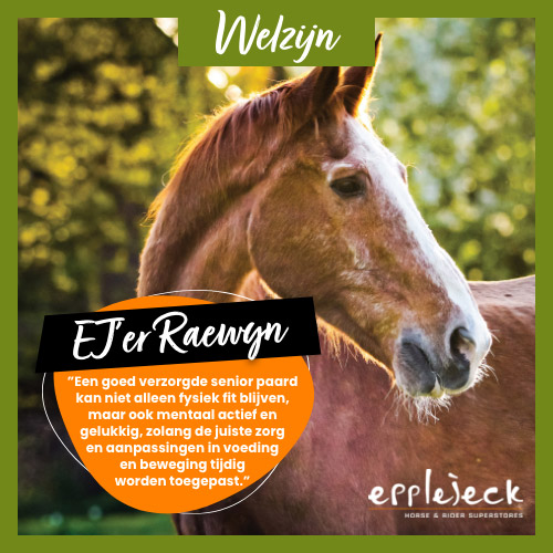 De beste zorg voor jouw senior paard
