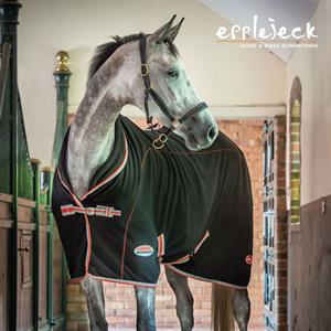 De werking van verschillende Therapy materialen bij je paard