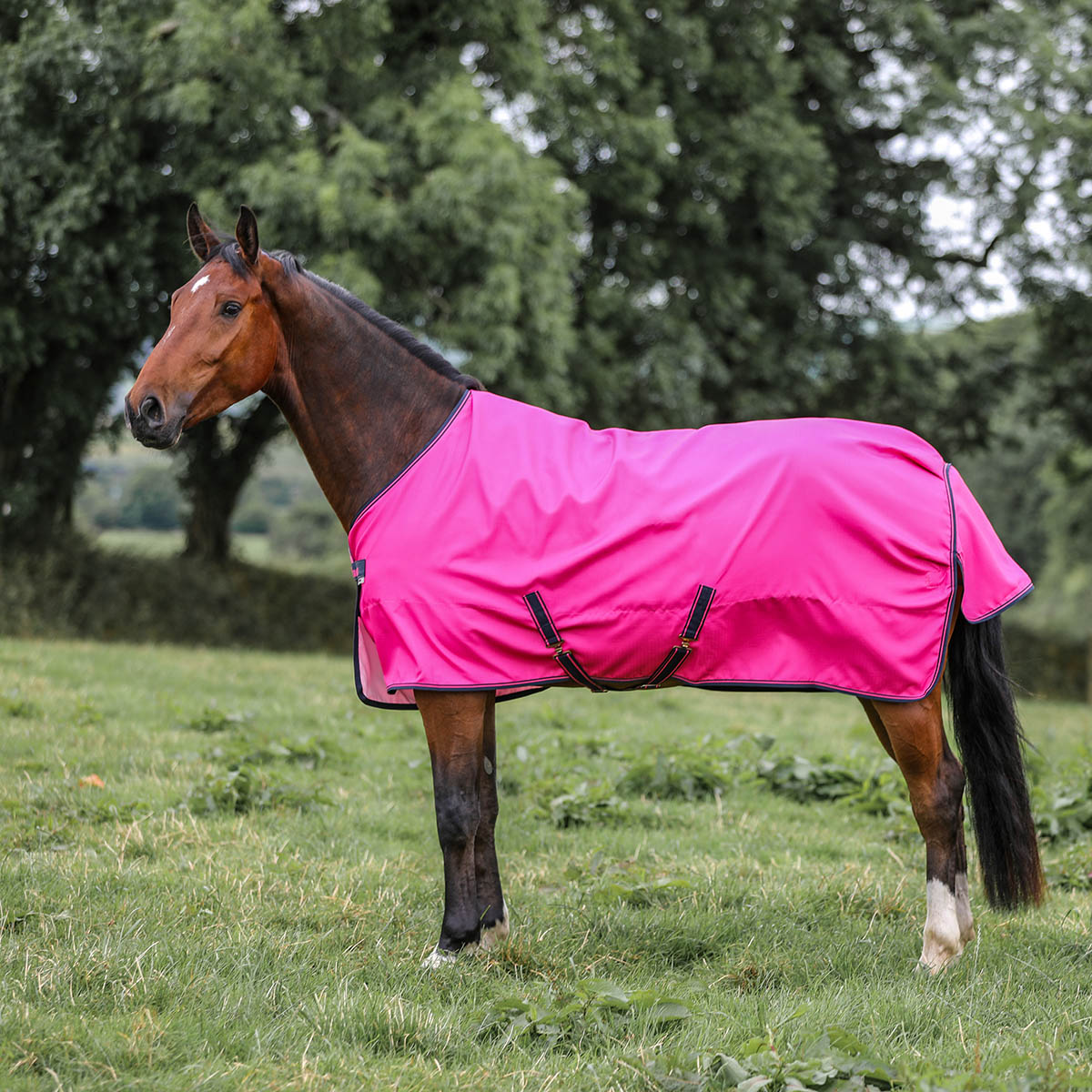 Deken Bucas Freedom Turnout Light 0gr Roze, 175 cm in roze