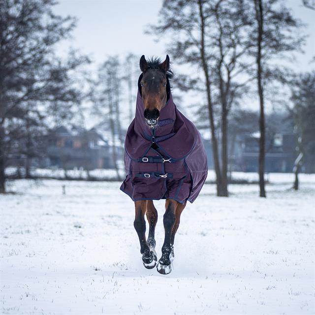 Deken HORSEGEAR HGExtreme 300gr Paars-blauw