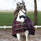 Deken HORSEGEAR HGExtreme 300gr Paars