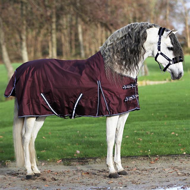 Deken HORSEGEAR HGExtreme 300gr Paars