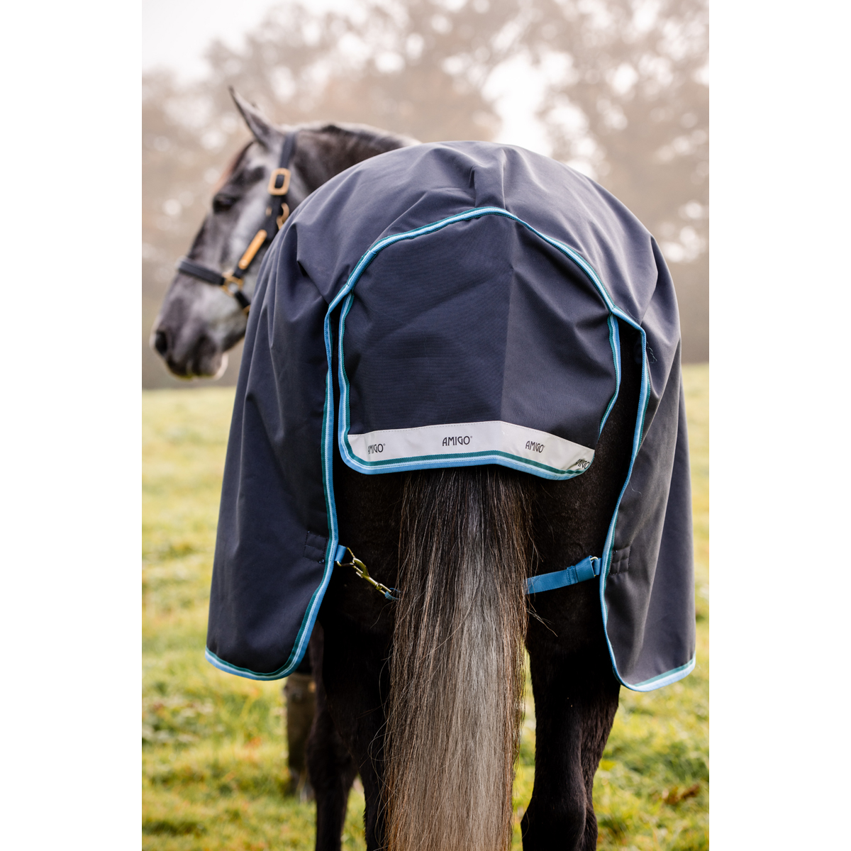 Likeur Ellende Nieuwjaar Deken Horseware Amigo Bravo 100gr Donkerblauw-turquoise - Epplejeck