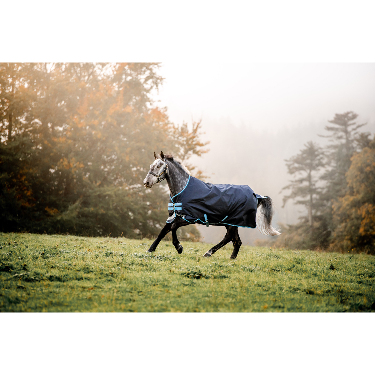 Deken Horseware Amigo 100gr Donkerblauw-turquoise - Epplejeck