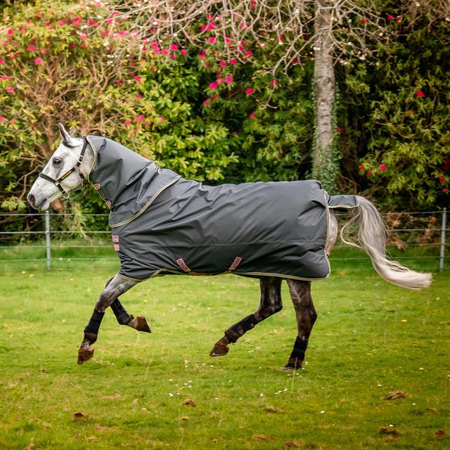 Deken Horseware Amigo Hero Plus Lite 0gr Donkergrijs-roze