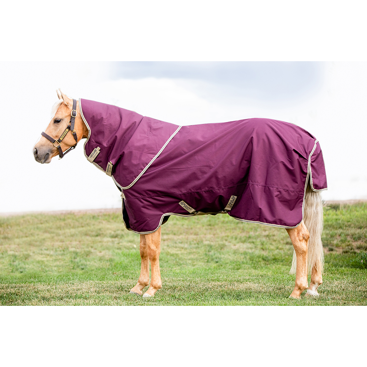 HorseWare Amigo Hero Ripstop Plus - Fig/Navy & Tan - 0g - Maat 6.3/140/191