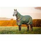 Deken Horseware Amigo Hero Plus Med 200gr Pony Groen