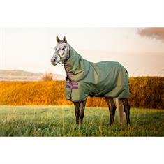Deken Horseware Amigo Hero Plus Med 200gr Pony Groen
