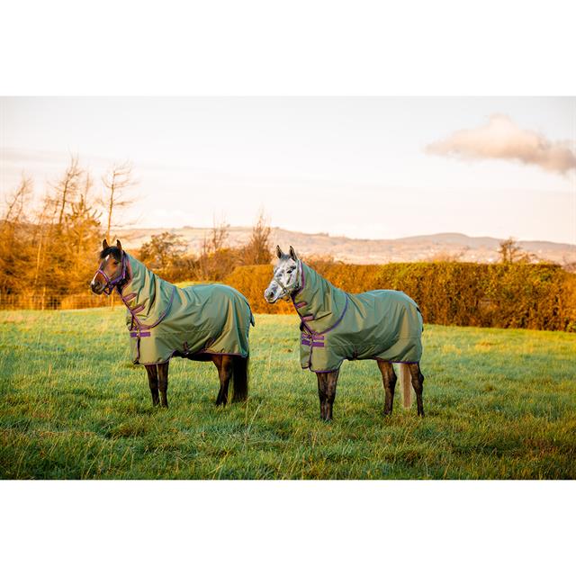 Deken Horseware Amigo Hero Plus Med 200gr Pony Groen