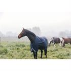 Deken Kentucky All Weather Comfort 100gr Donkerblauw
