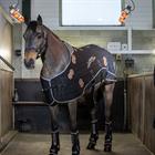 Deken LeMieux Conductive Magnapy Zwart