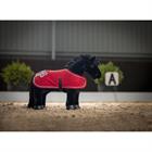 Deken LeMieux Toy Pony Middenrood