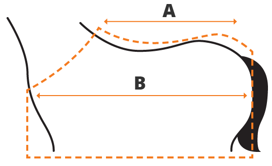 romantisch Wiskunde afvoer Welke maat deken heeft jouw paard nodig? - Blog - Inspiratie - Epplejeck