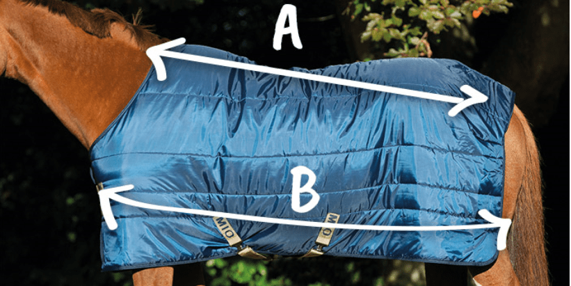 romantisch Wiskunde afvoer Welke maat deken heeft jouw paard nodig? - Blog - Inspiratie - Epplejeck