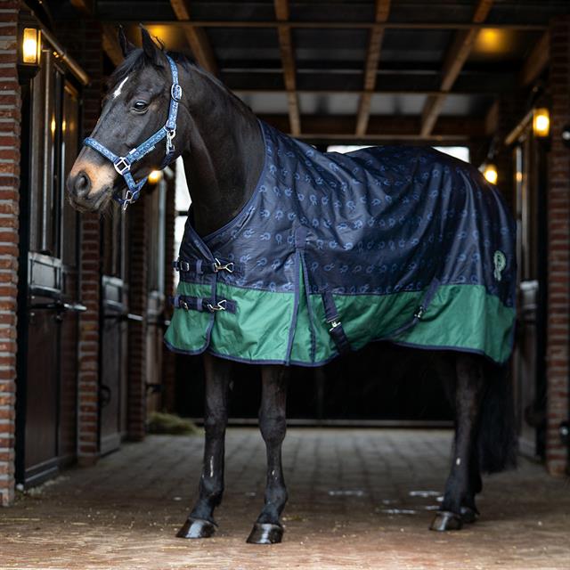 Deken Paardenpraat By Ej 3.0 Donkerblauw-groen