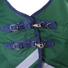 Deken WeatherBeeta ComFiTec Dynamic High Neck 220gr Groen-blauw