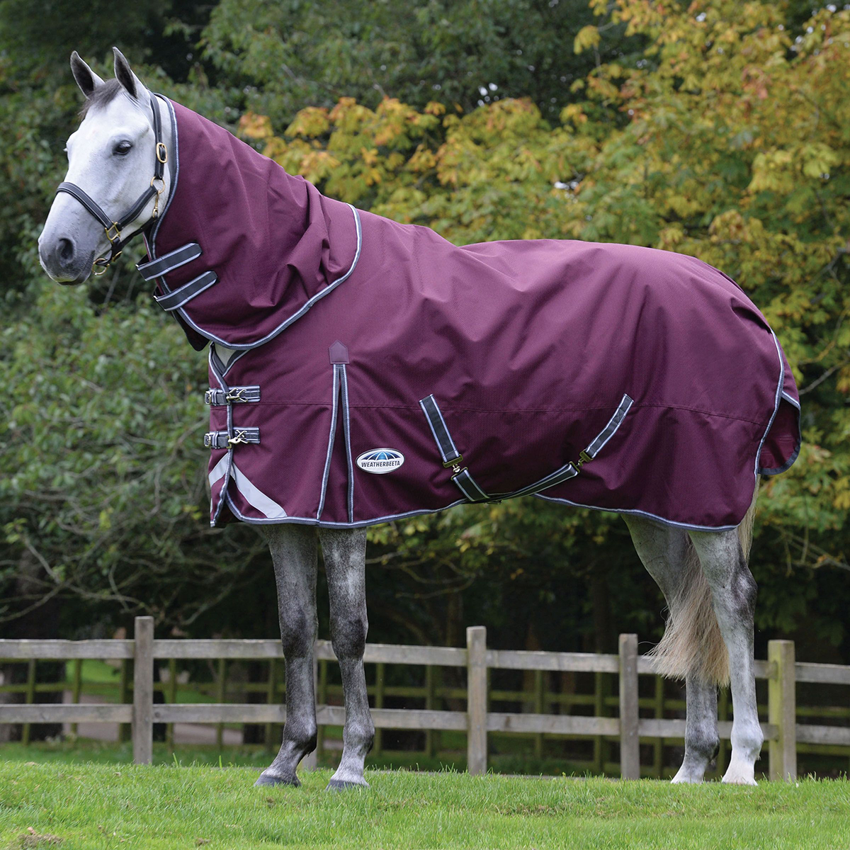 Deken Weatherbeeta Comfitec Plus Dynamic Met Hals 0gr Bruin-grijs, 175 cm in bruin/grijs