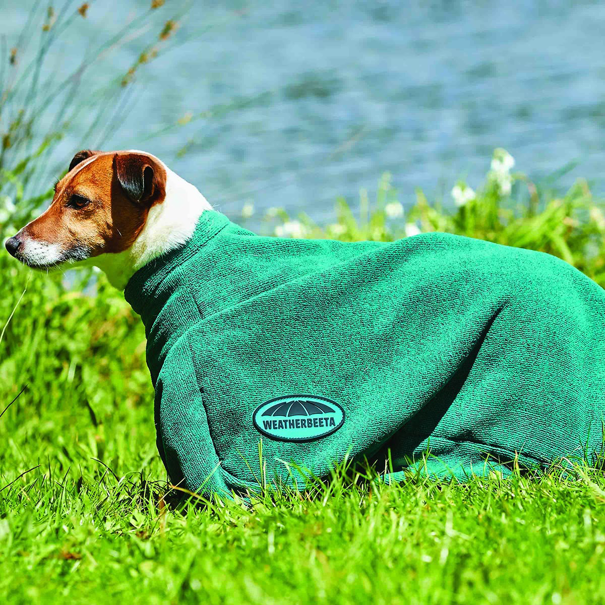 Dry-dog Bag Weatherbeeta Comfitec, XS in groen