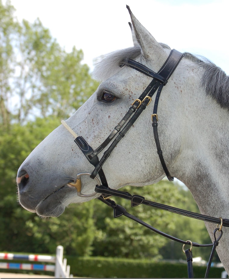 Dy'on Rope Noseband paard