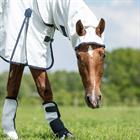 Eczeemdeken HORSEGEAR Sweet Itch Full Neck Wit