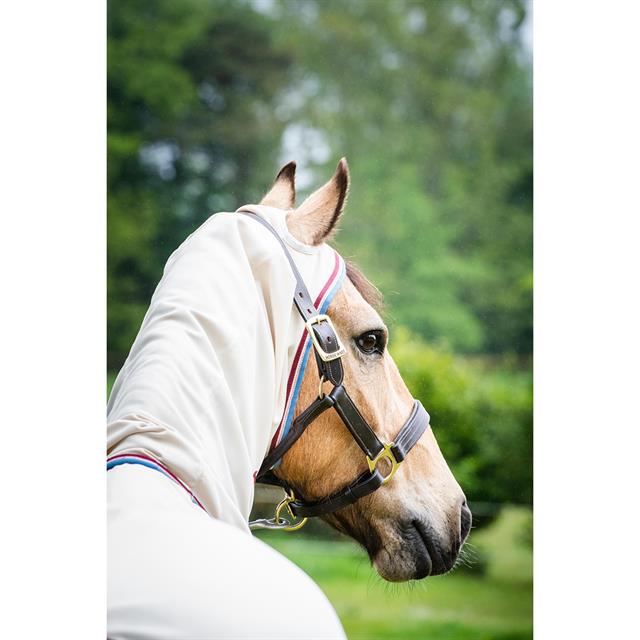 Eczeemdeken Rambo Sweet Itch Hoody Pony Lichtbruin