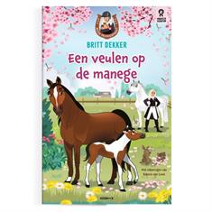 Een veulen op de manege 