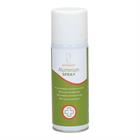 Epplejeck Aluminium Spray 