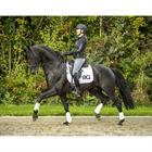 Equestic Saddle Clip 