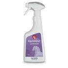 Equishine Antiklit Lavendel 