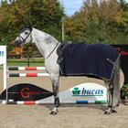 Fleecedeken Bucas Show-Line 400gr Donkerblauw-grijs