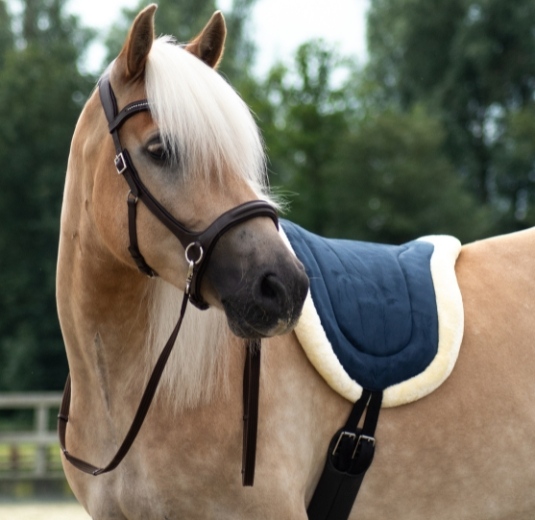 Free horse bitloos hoofdstel en barebackpad