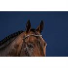 Frontriem Dy'on Silver Clincher V-Shaped Us Hunter Bruin