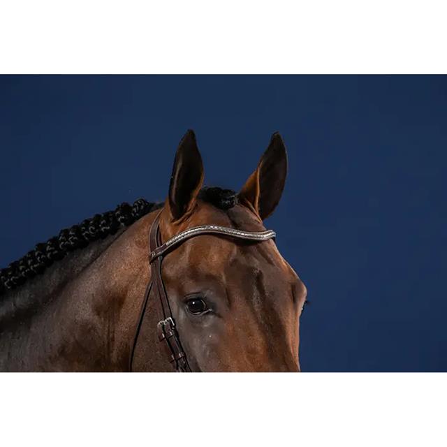Frontriem Dy'on Silver Clincher V-Shaped Us Hunter Bruin