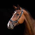 Frontriem PresTeq Shinebright Zwart-blauw