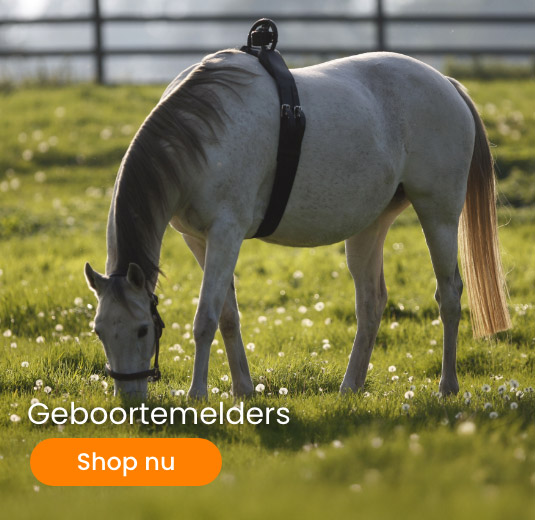 Geboortemelders
