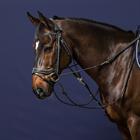 Gogue Teugels Dy'on Working By Dy'on Zwart