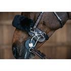 Hackamore Bescherming Dy'on Working By Dy'on Bruin