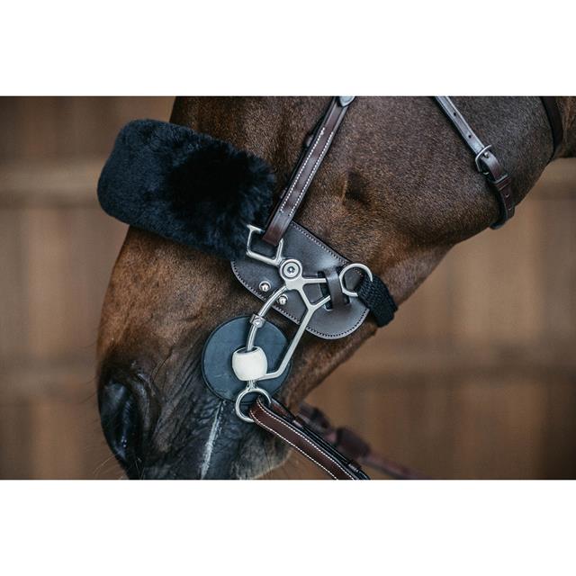 Hackamore Bescherming Dy'on Working By Dy'on Bruin
