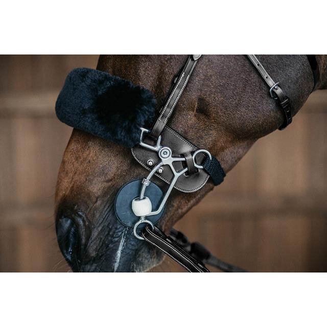 Hackamore Bescherming Dy'on Working By Dy'on Zwart