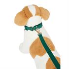 Halsband En Lijn LeMieux Toy Puppy Groen