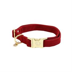 Halsband Kentucky Corduroy Rood