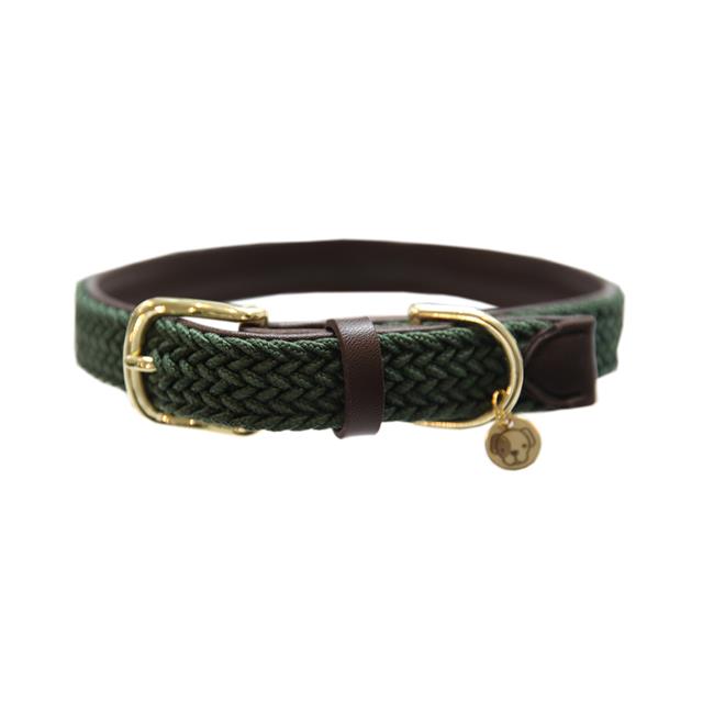 Halsband Kentucky Gevlochten Nylon Hond Middengroen