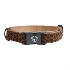 Halsband Kentucky Hond Leopard Bruin