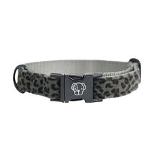 Halsband Kentucky Hond Leopard Grijs