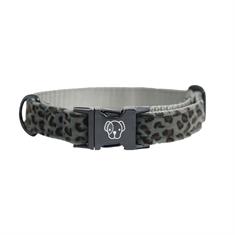 Halsband Kentucky Hond Leopard