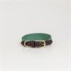 Halsband Kentucky Jacquard Groen