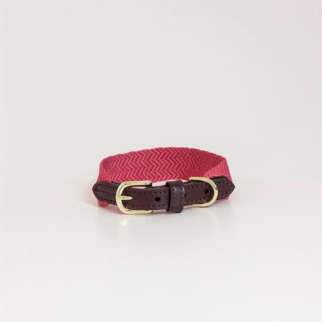 Halsband Kentucky Jacquard Roze